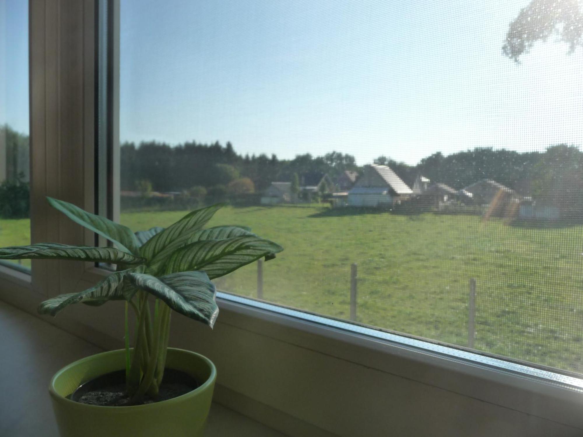 Appartement De Alpacaboerderij